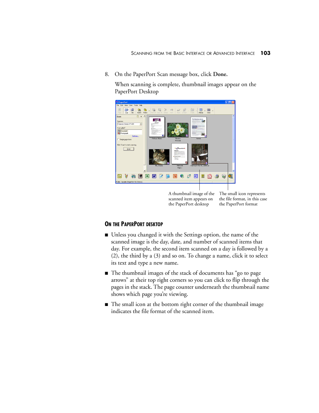 Visioneer XP 470 manual On the Paperport Desktop 