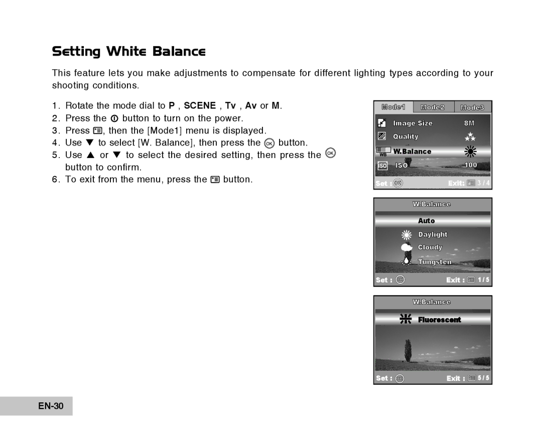 Vivitar Tripod/Video Equipment manual Setting White Balance, EN-30 