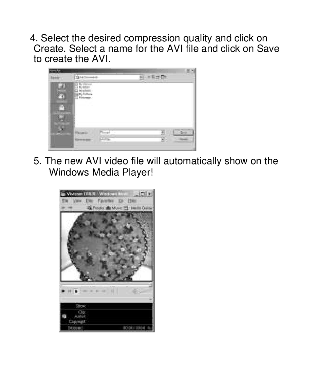 Vivitar V10b user manual 