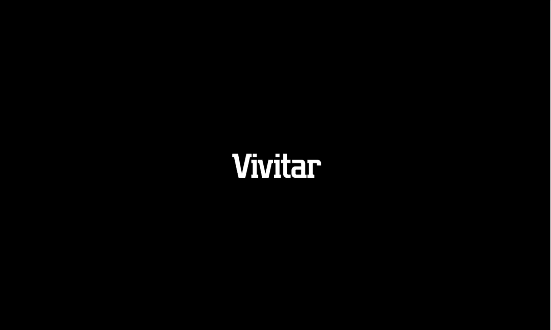 Vivitar VIV-2X4 instruction manual 