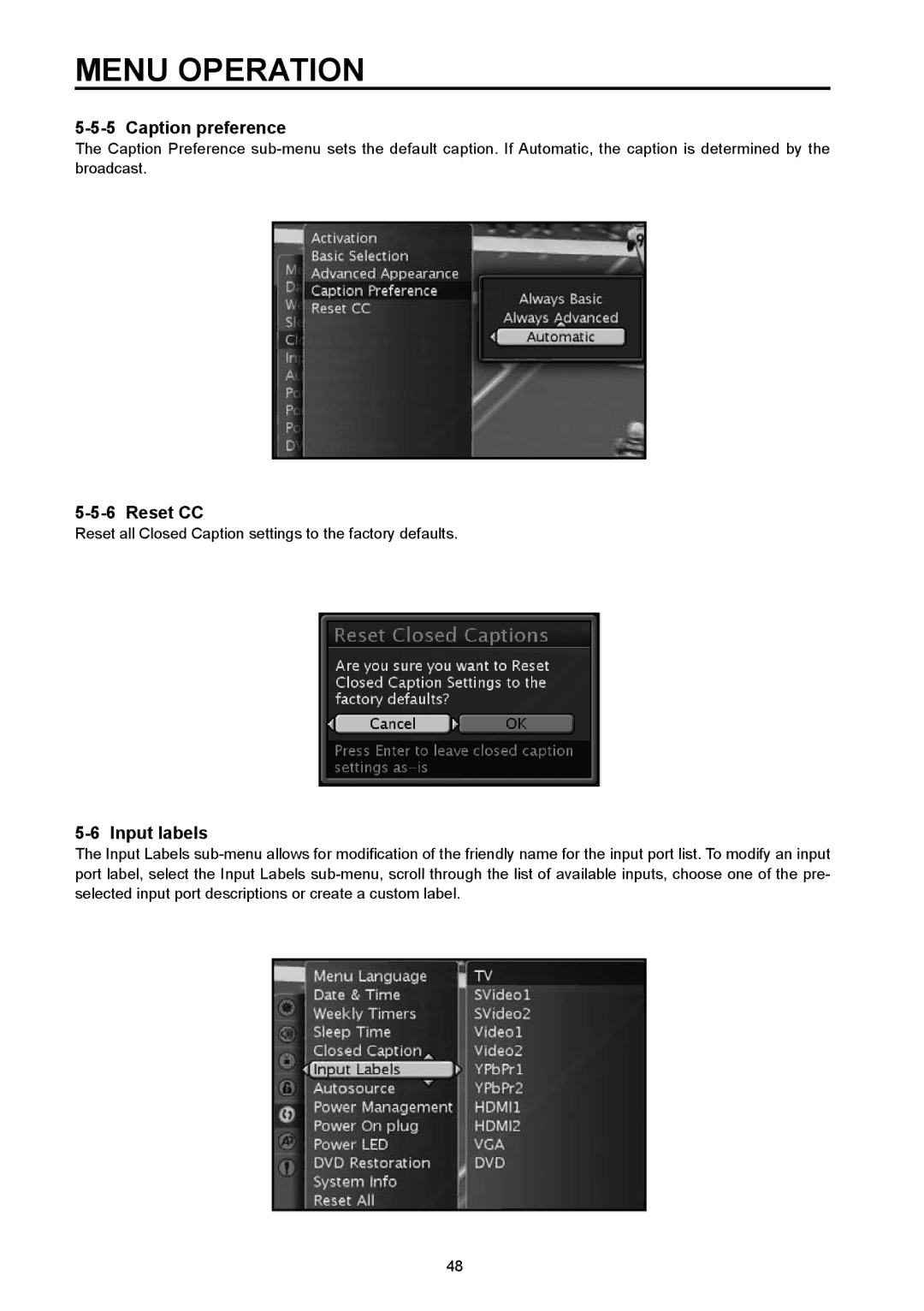 Vivitek DVD Combo manual Caption preference, Reset CC, Input labels 