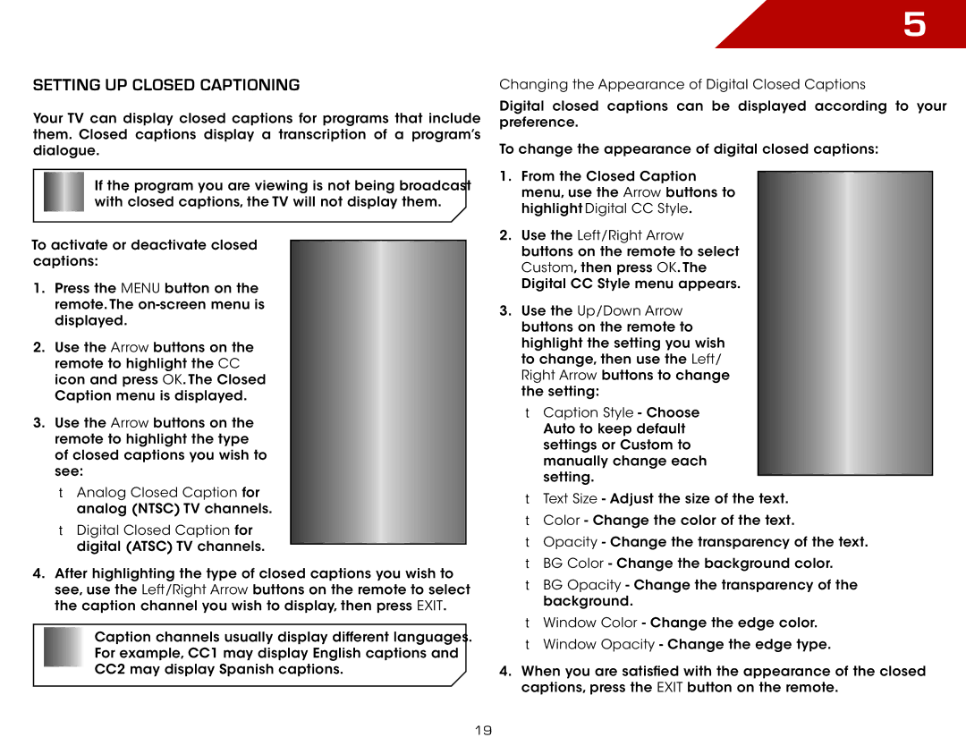 Vizio E191VA, E261VA, E221VA specifications Setting Up Closed Captioning 