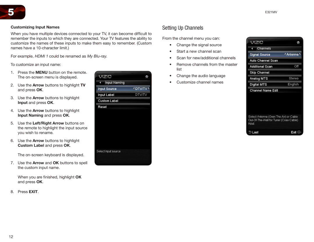 Vizio E321MV user manual Setting Up Channels, Customizing Input Names 