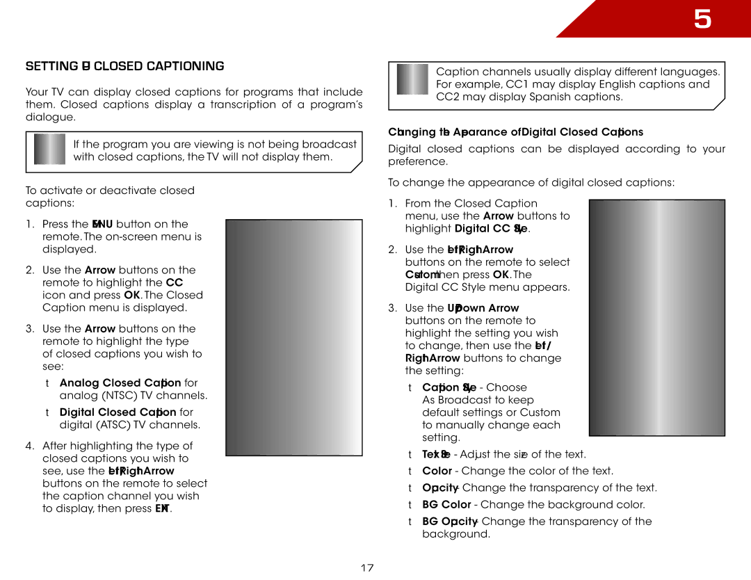 Vizio E422AR, E322AR warranty Setting Up Closed Captioning 