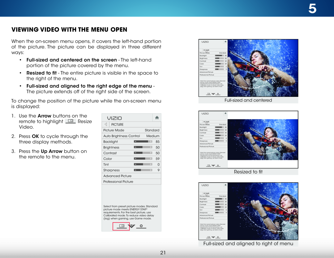 Vizio M501d-A2, M551d-A2, M651d-A2 user manual Viewing Video With The Menu Open, Vizio 