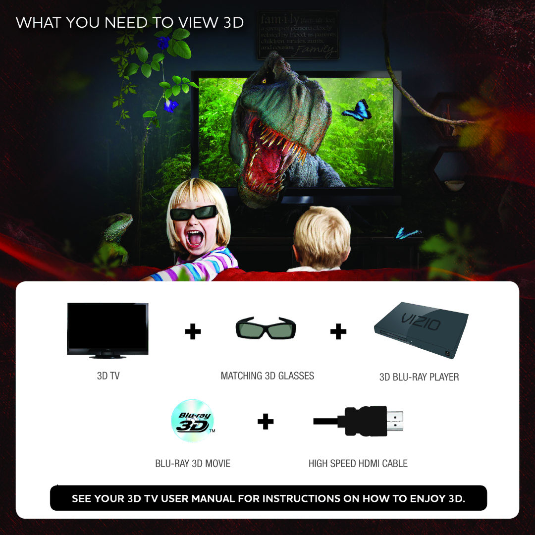 Vizio VBR133 user manual + +, What YOU Need to View 3D 