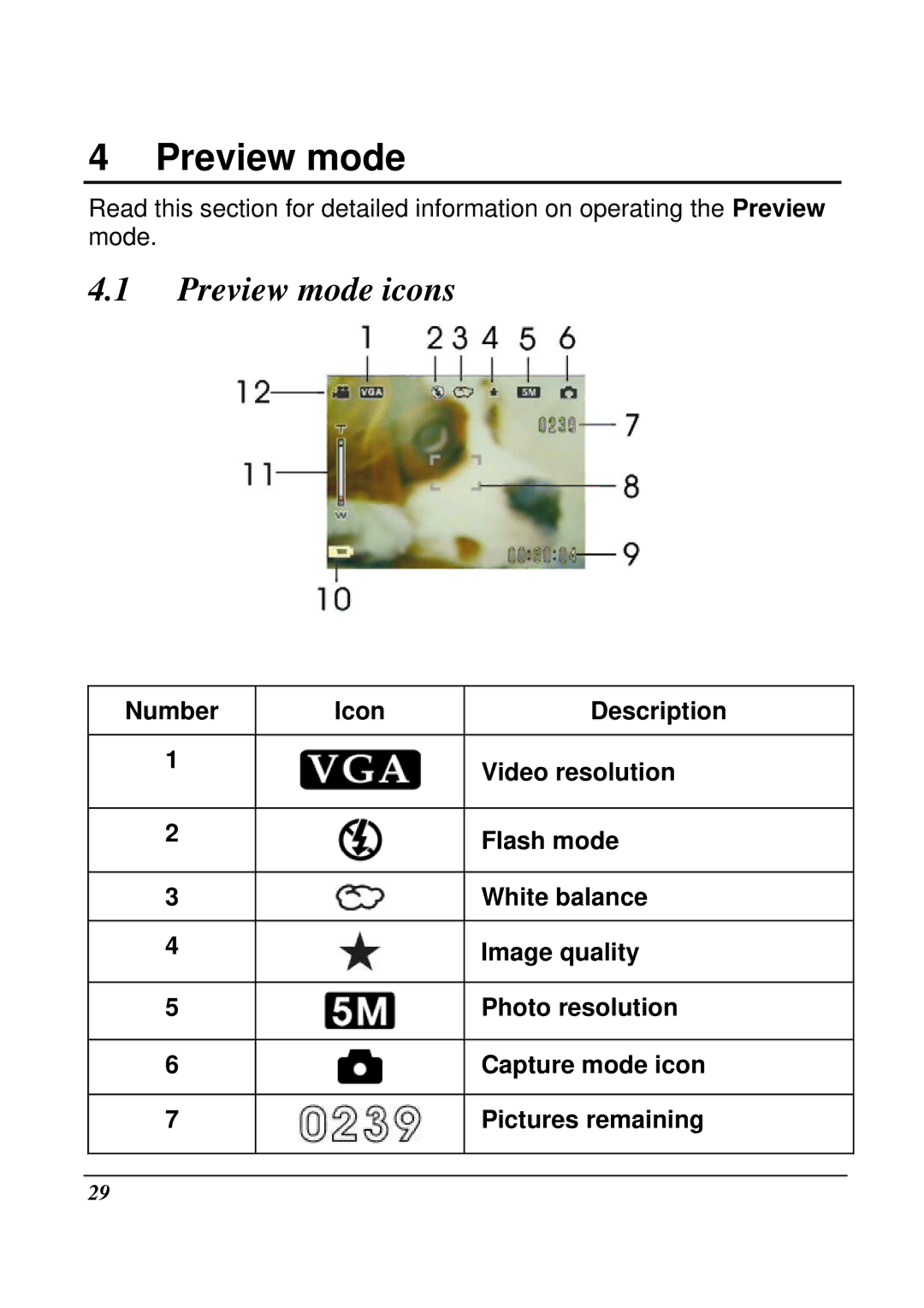 VuPoint Solutions DV-DA1-VP manual Preview mode icons 