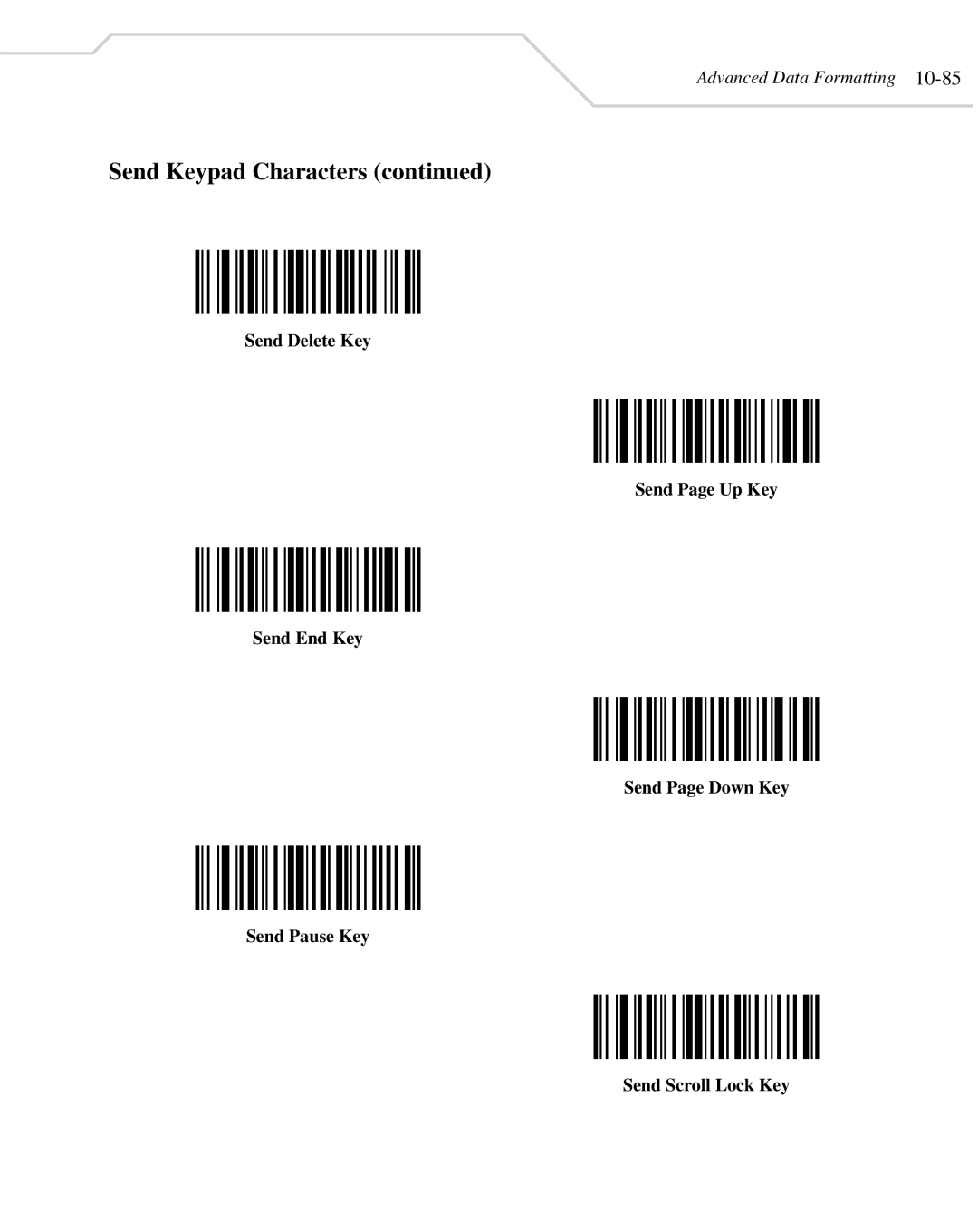 Wasp Bar Code WLS 8400 FZ, WLS 8400 ER manual Send Keypad Characters 