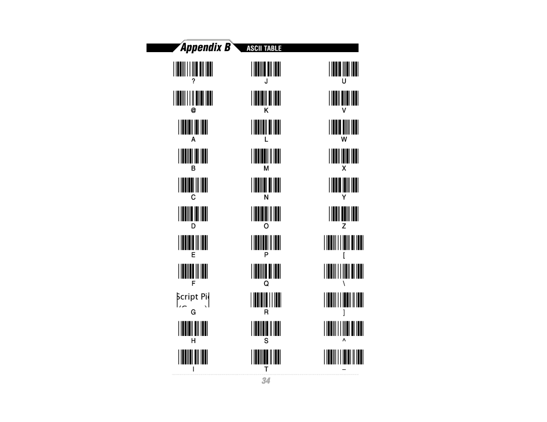 Wasp Bar Code WWR2900 manual Appendix B, G.eps, Script Pic, Ascii Table 
