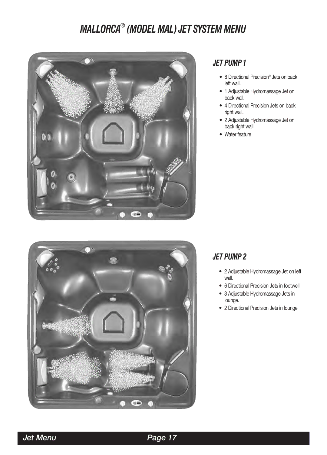 Watkins LAP, MAL, SOR JET Pump, Directional Precision Jets on back left wall, Directional Precision Jets on back right wall 