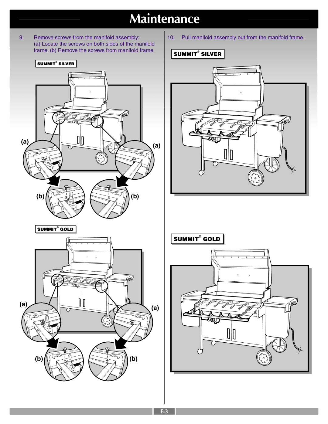 Weber 42095 manual Maintenance 