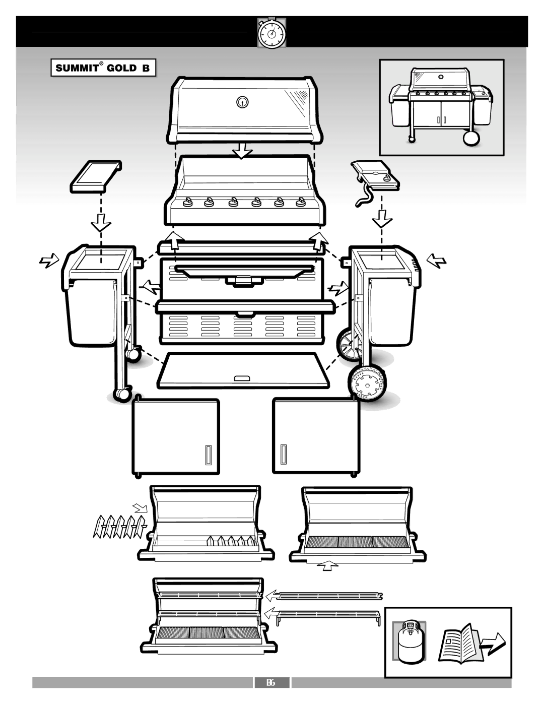 Weber 43720 manual 