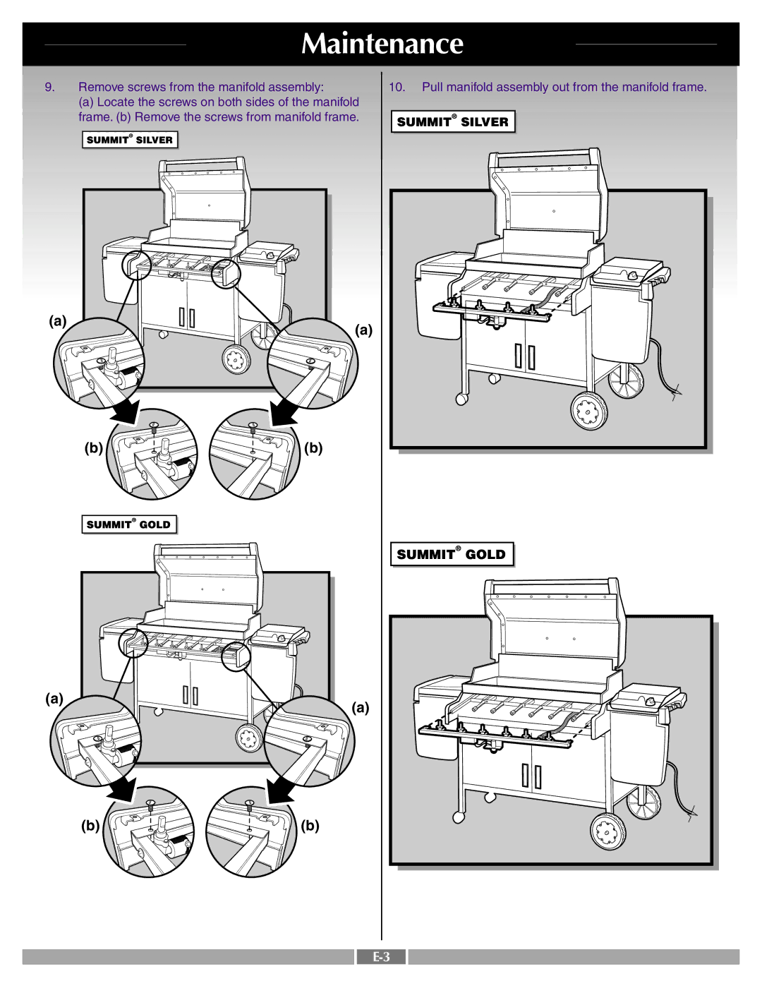 Weber 43720 manual Maintenance 