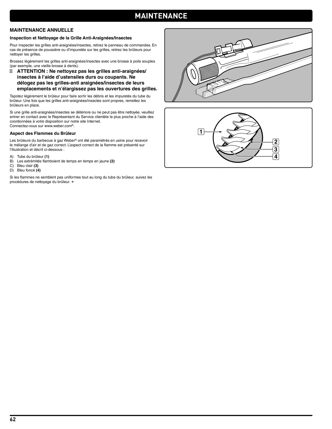 Weber 54381 manual Maintenance Annuelle, Aspect des Flammes du Brûleur 