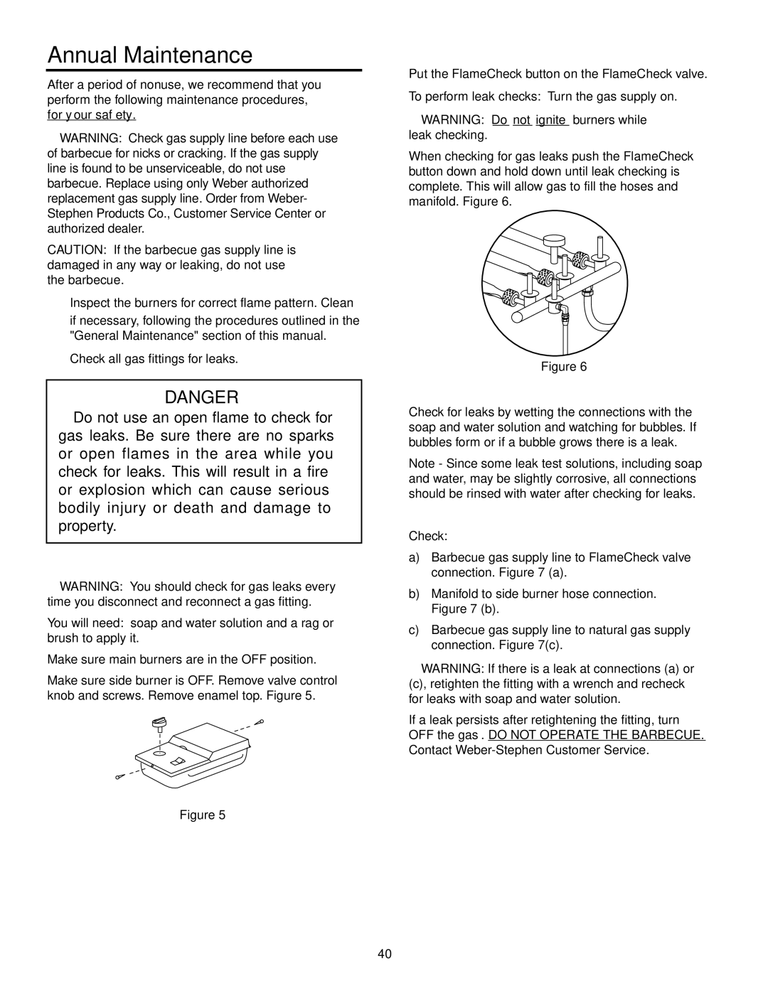 Weber 5500 owner manual Annual Maintenance 