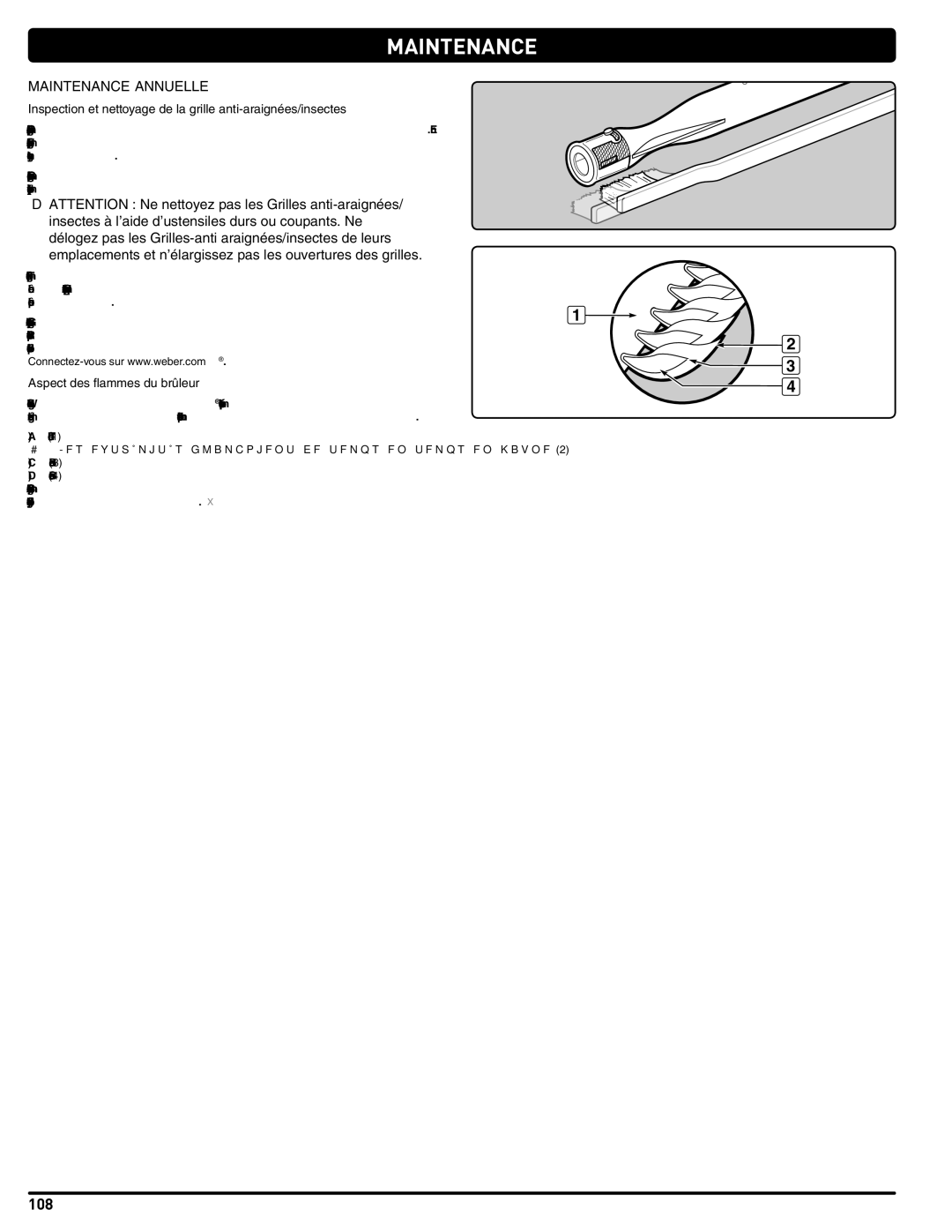 Weber 56211, E/S 470 LP manual Maintenance Annuelle, Aspect des flammes du brûleur 