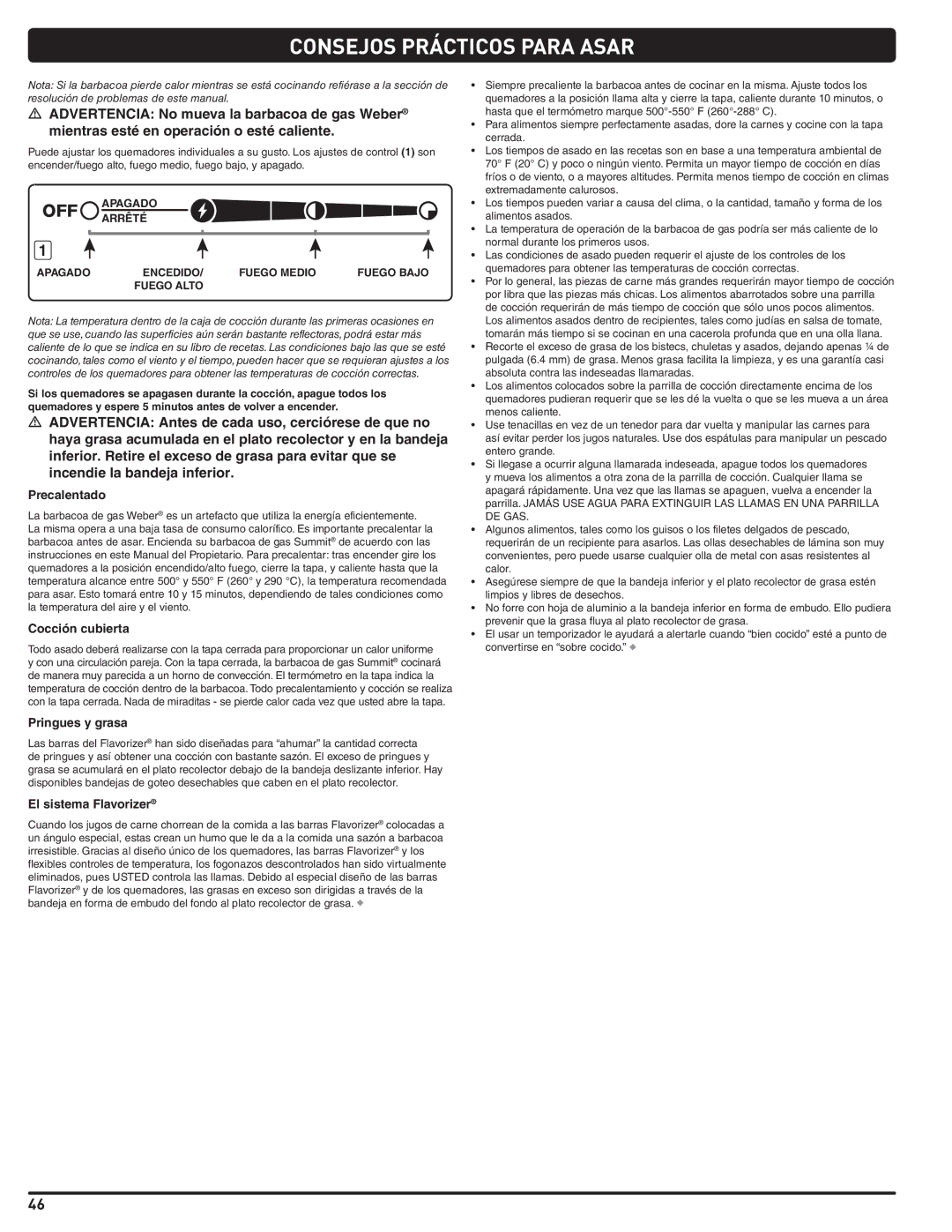 Weber 56219 manual Consejos Prácticos Para Asar, Precalentado, Cocción cubierta, Pringues y grasa, El sistema Flavorizer 
