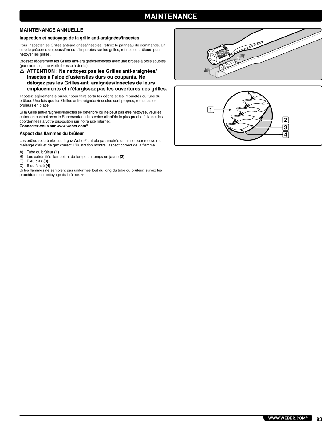 Weber 56219 manual Maintenance Annuelle, Aspect des flammes du brûleur 