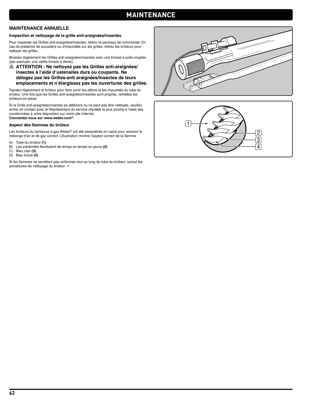 Weber 56514 manual Maintenance Annuelle, Aspect des flammes du brûleur 