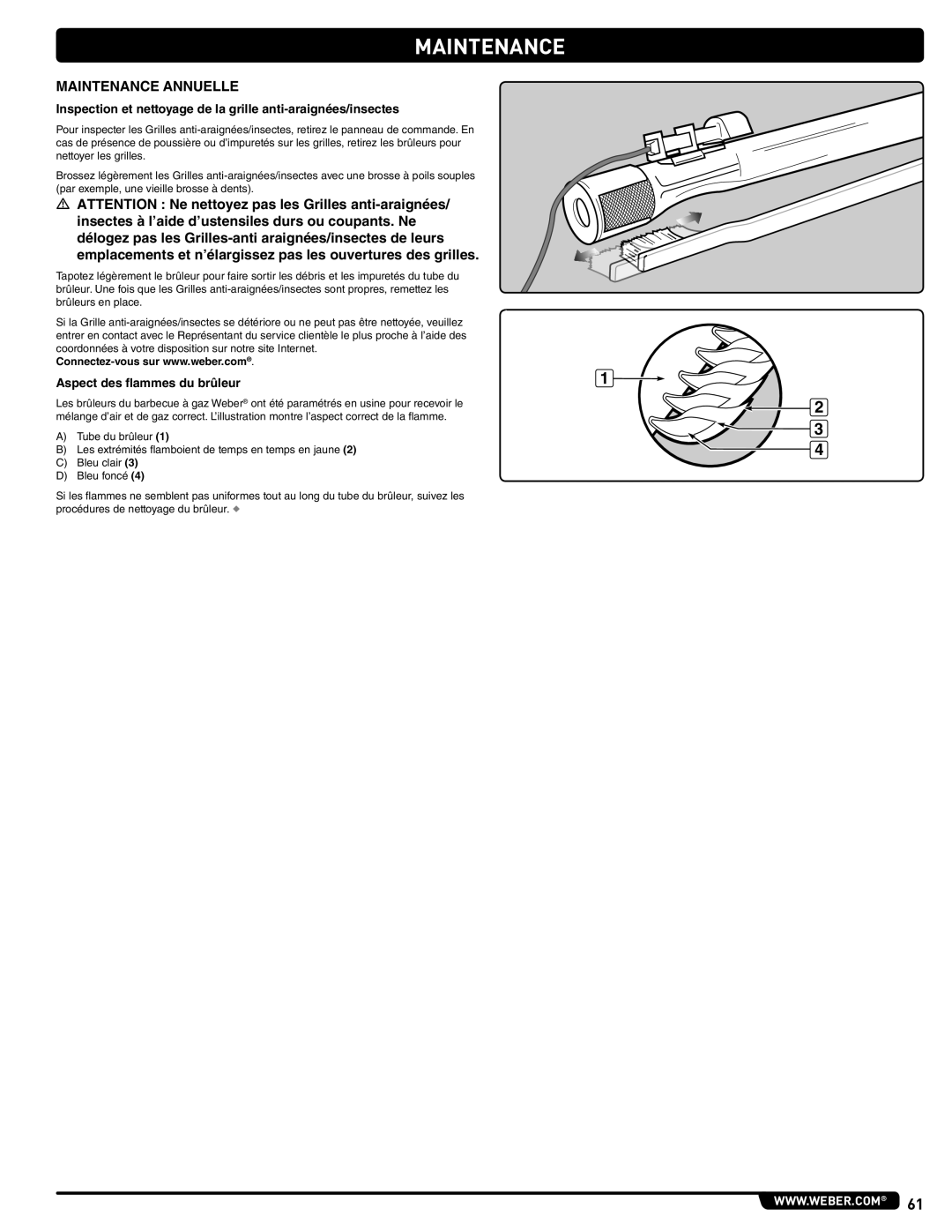 Weber 56515 manual Maintenance Annuelle, Aspect des flammes du brûleur 