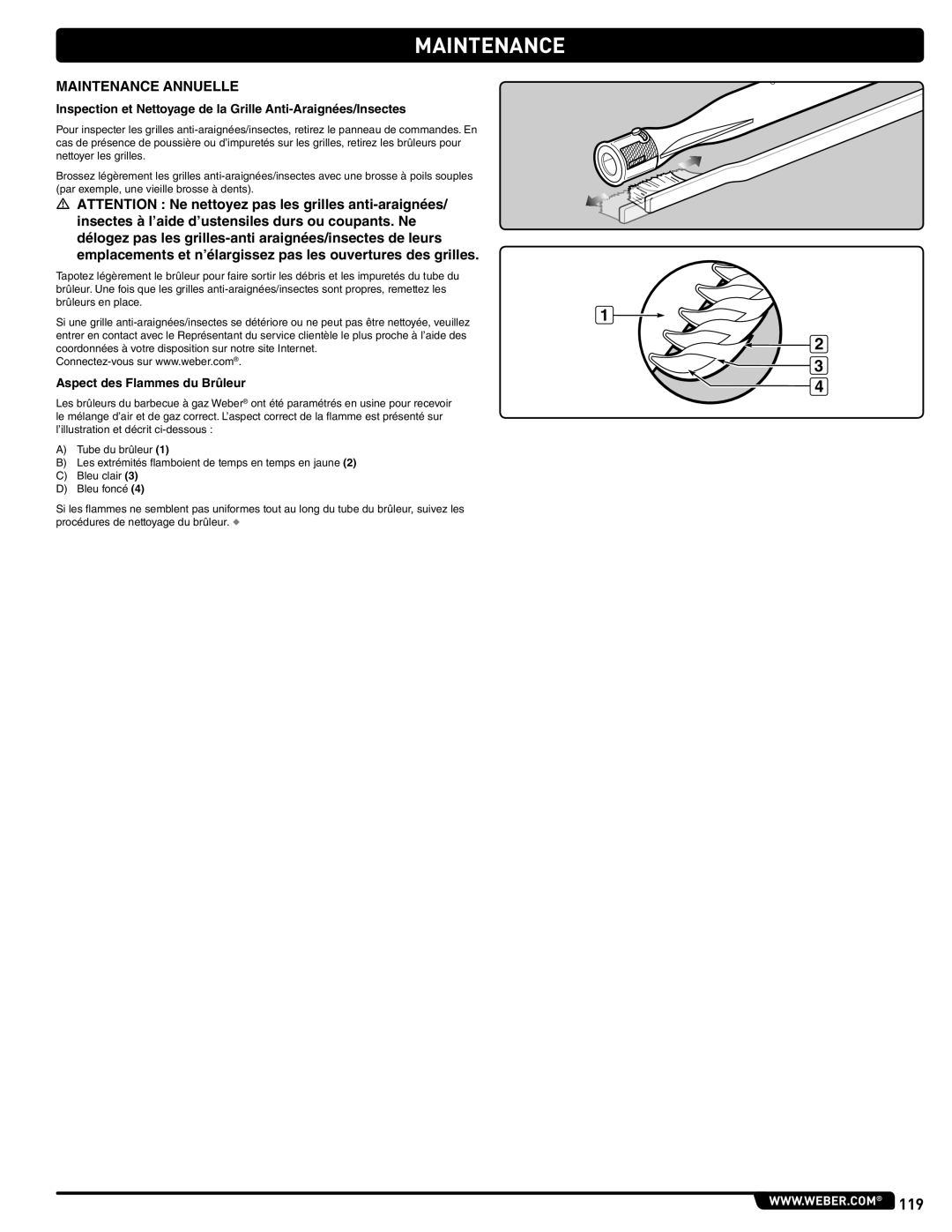 Weber 56567 manual Maintenance Annuelle, Aspect des Flammes du Brûleur 