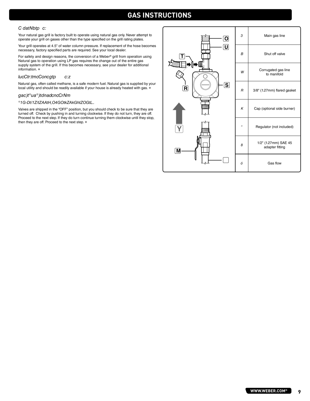 Weber #56580 manual Type of GAS, What is Natural GAS?, Leak Check Preparation, Check that all burner valves are off 