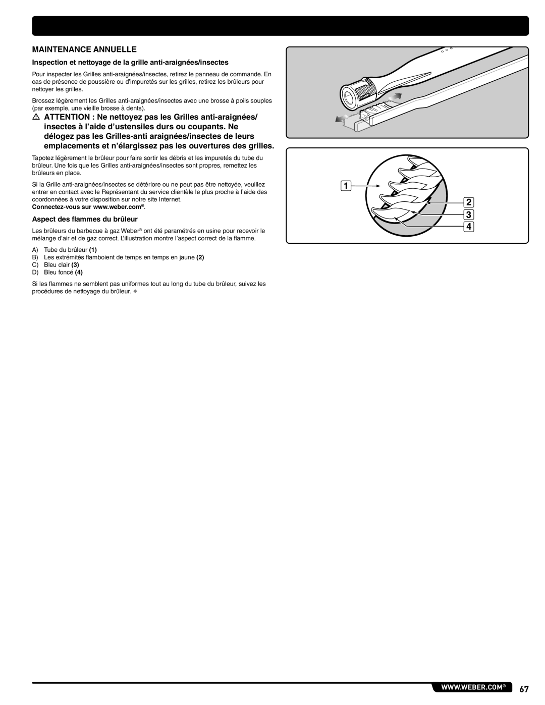 Weber 89962 manual Maintenance Annuelle, Aspect des flammes du brûleur 