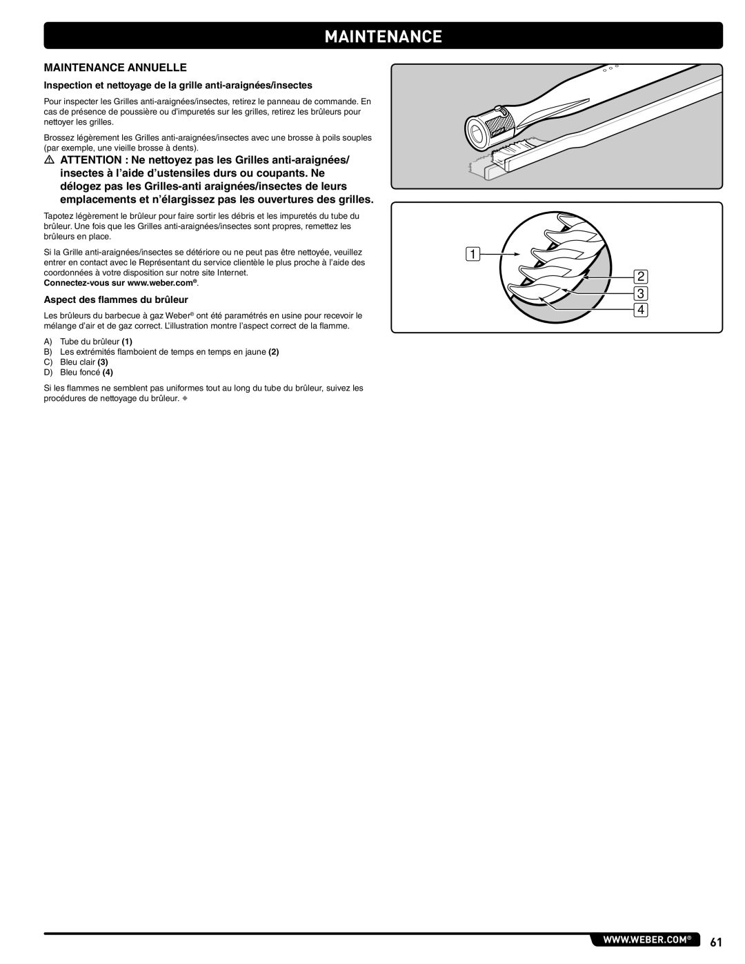 Weber 89963 manual Maintenance Annuelle, Aspect des flammes du brûleur 