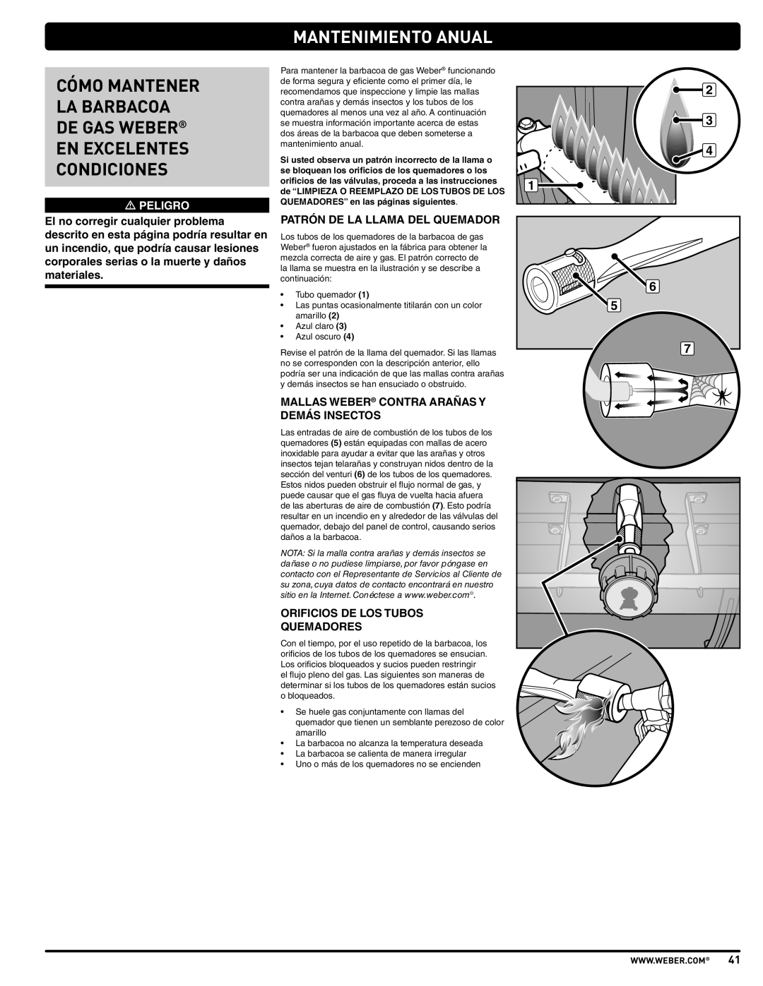 Weber E310, E210, SP310 Mantenimiento Anual, Patrón DE LA Llama DEL Quemador, Mallas Weber Contra Arañas Y Demás Insectos 