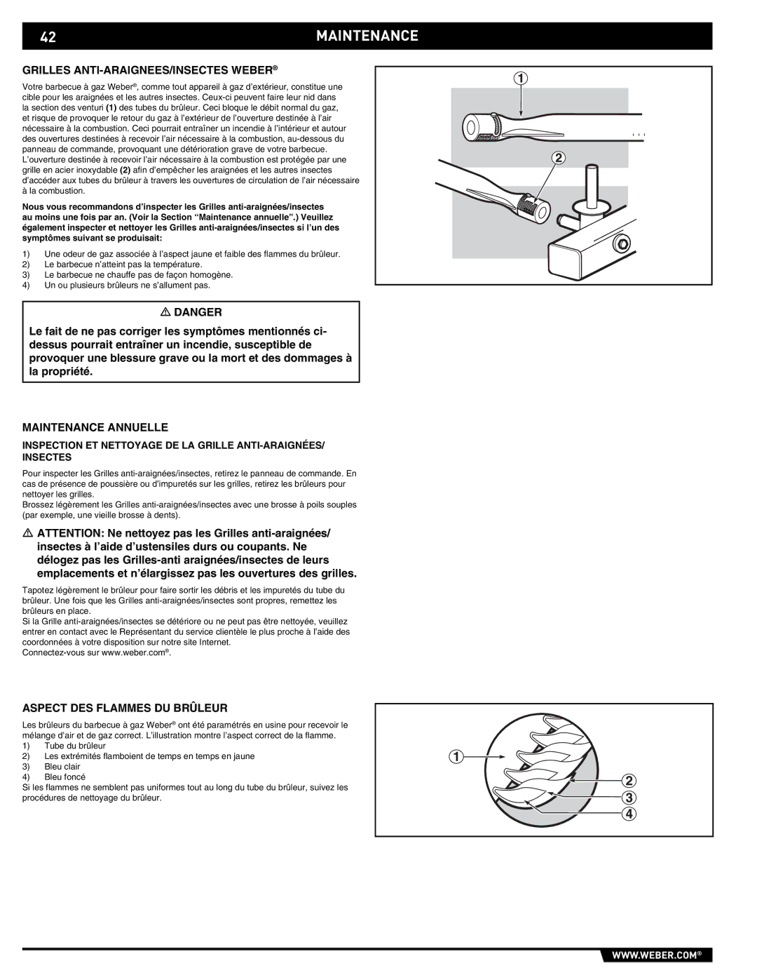 Weber E/EP - 210/310 manual Grilles ANTI-ARAIGNEES/INSECTES Weber, Maintenance Annuelle, Aspect DES Flammes DU Brûleur 