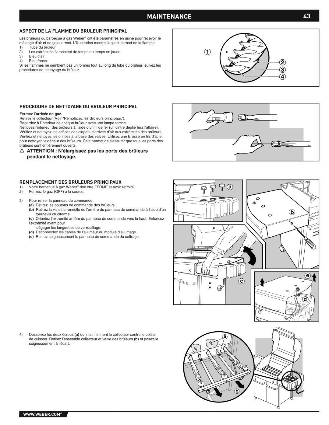 Weber E/S-310/320 MAINTENANCE43, Aspect DE LA Flamme DU Bruleur Principal, Procedure DE Nettoyage DU Bruleur Principal 