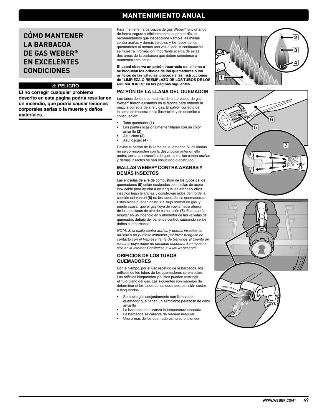 Weber PL - PG. 59 57205 Mantenimiento Anual, Patrón DE LA Llama DEL Quemador, Mallas Weber Contra Arañas Y Demás Insectos 