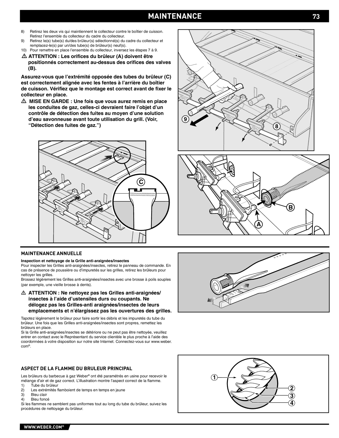 Weber S-620/650 manual Maintenance Annuelle, Aspect DE LA Flamme DU Bruleur Principal 