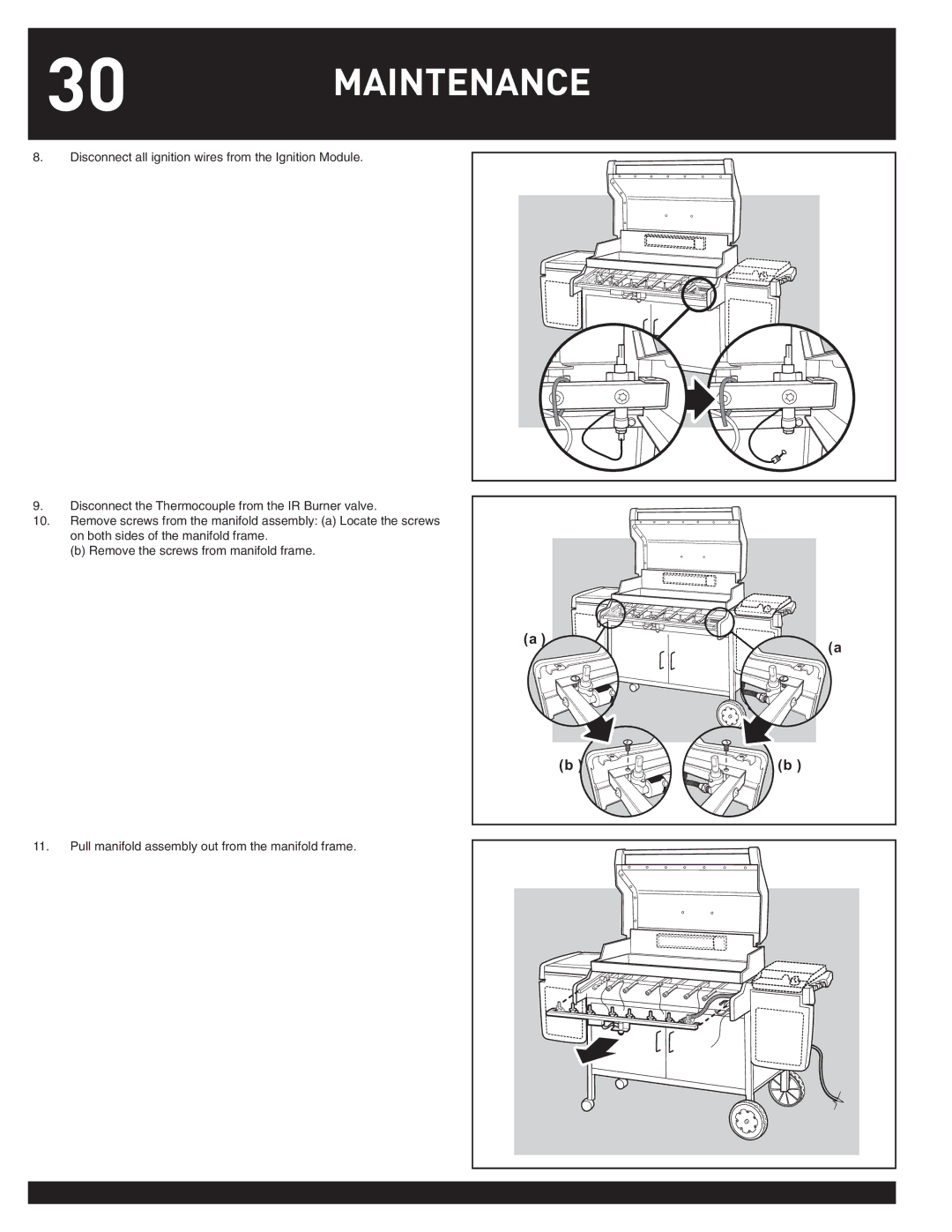 Weber Summit Gas Griill, 38050 manual Maintenance 