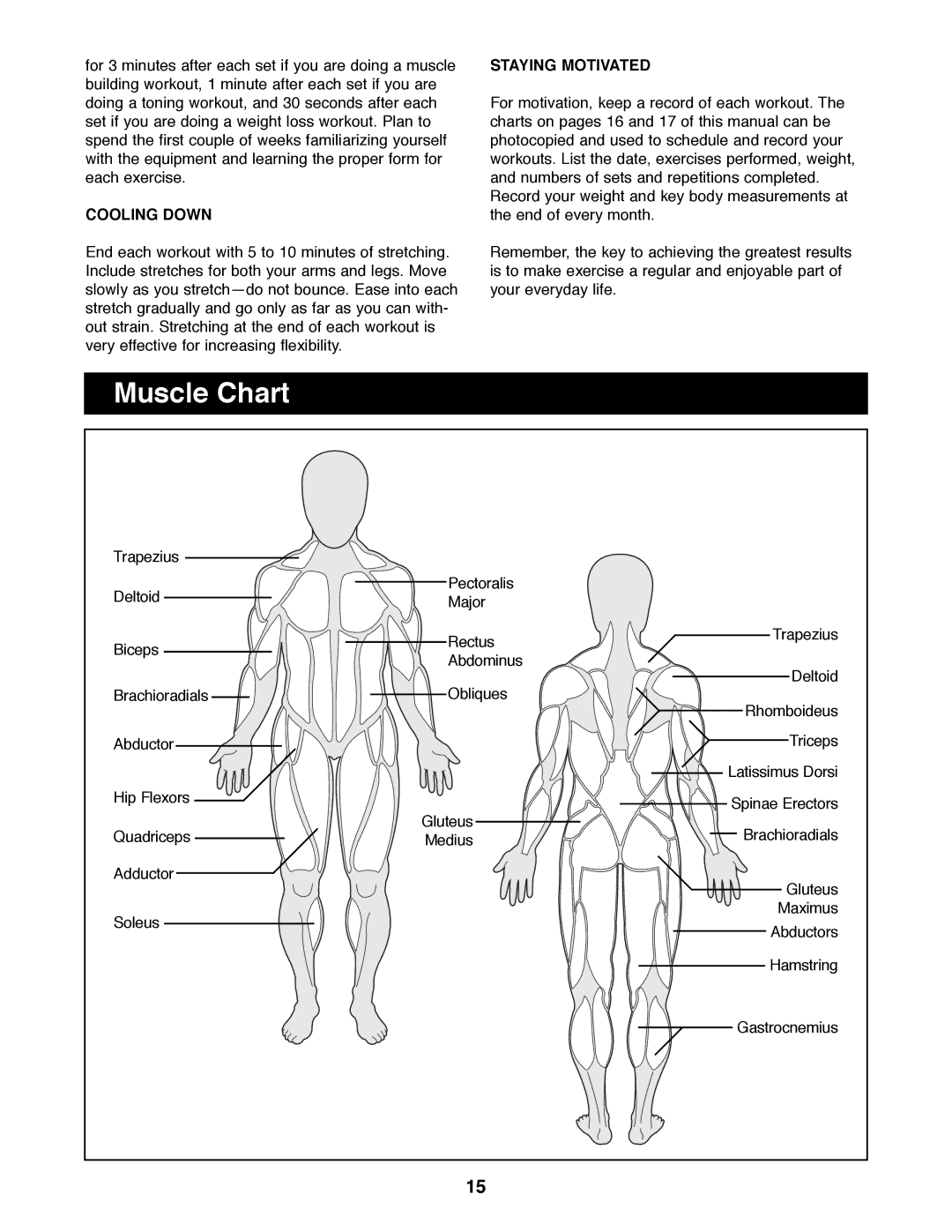 Weider 148 manual Muscle Chart, Cooling Down, Staying Motivated 