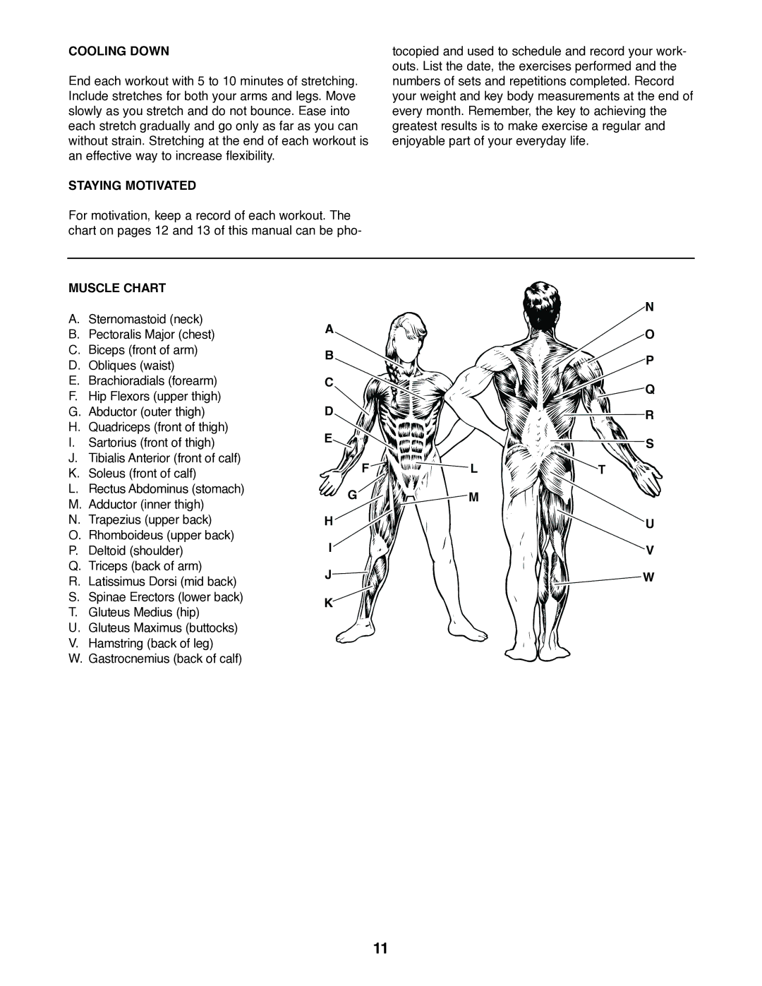 Weider 220 user manual Cooling Down 