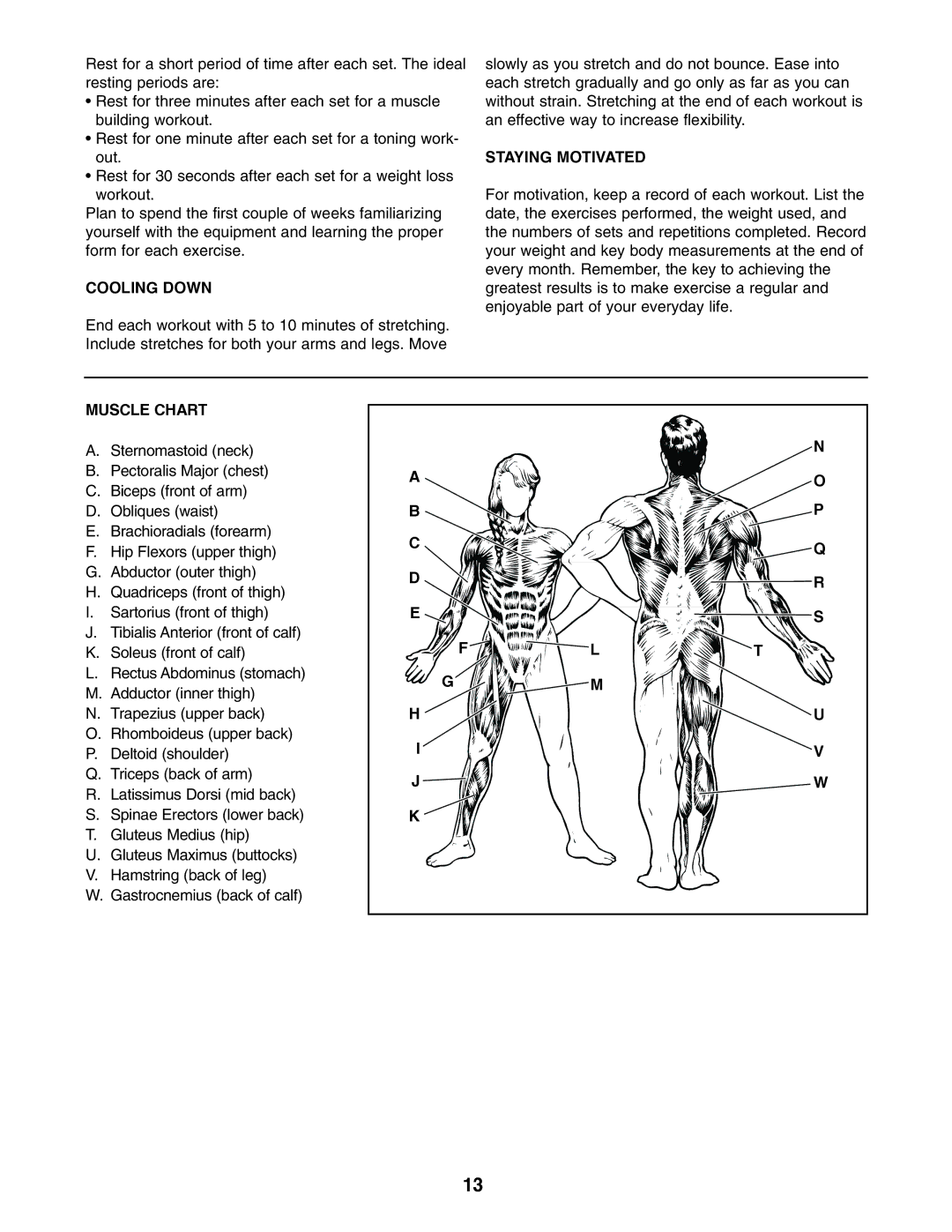 Weider 831.150680 user manual Cooling Down, Staying Motivated, Muscle Chart 