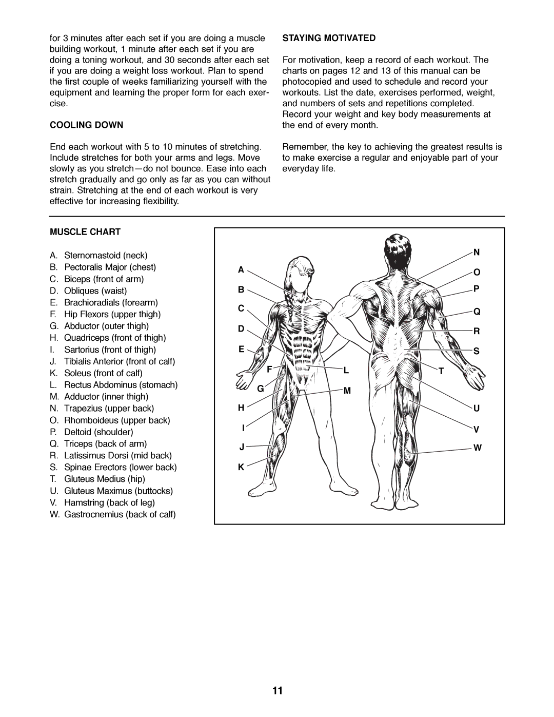 Weider 831.150720 manual Cooling Down, Staying Motivated, Muscle Chart 