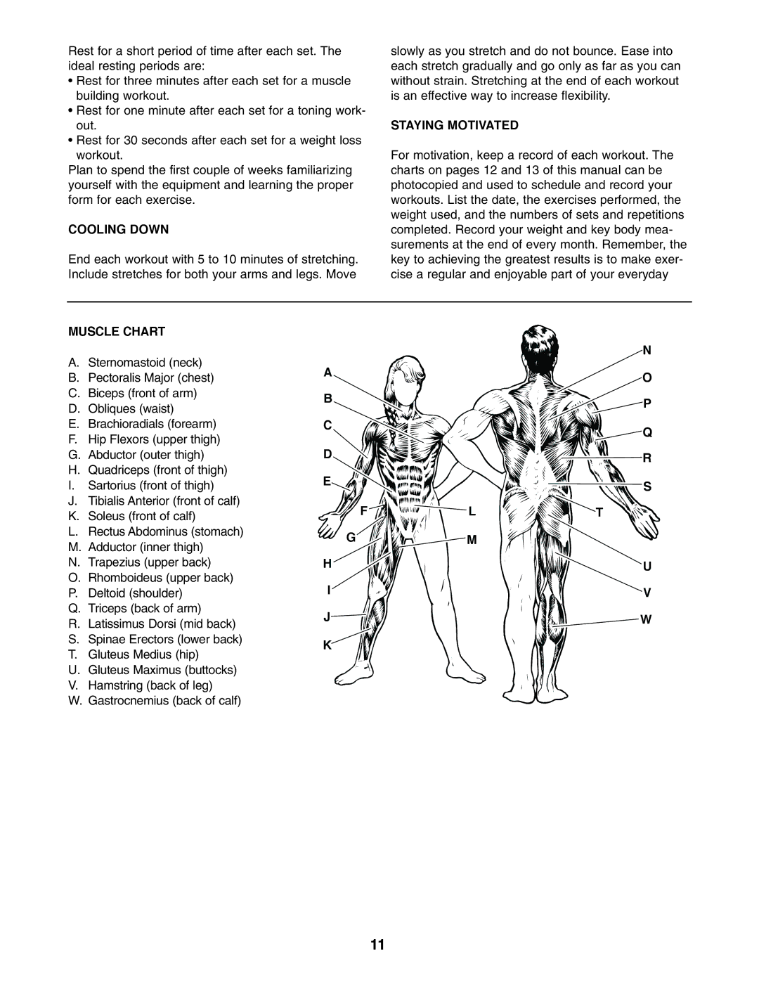 Weider 831.150721 user manual Cooling Down, Staying Motivated, Muscle Chart 