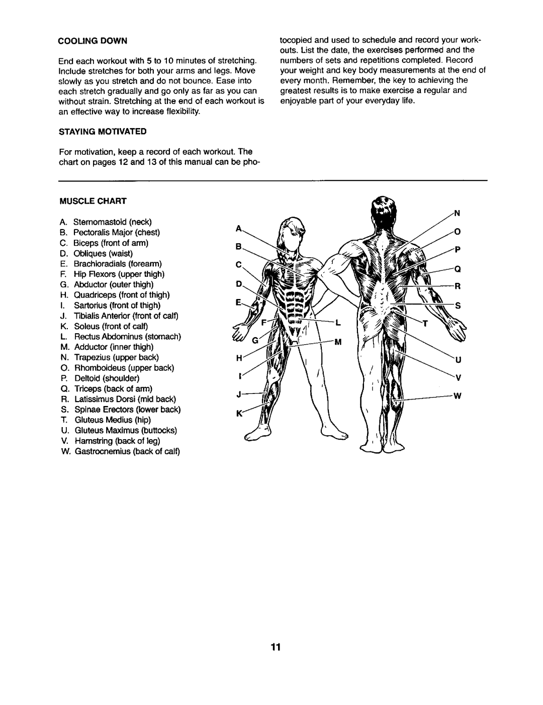 Weider 831.1591 user manual Cooling Down 