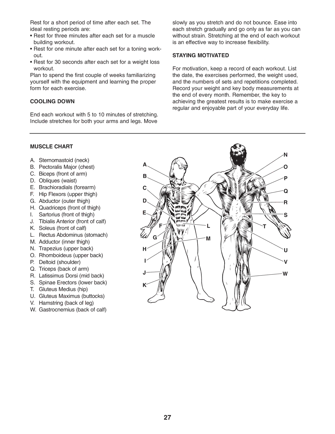 Weider 831.159822 user manual Cooling Down, Staying Motivated, Muscle Chart 