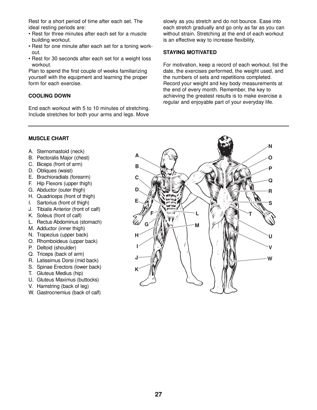 Weider 831.159823 user manual Cooling Down, Staying Motivated, Muscle Chart 