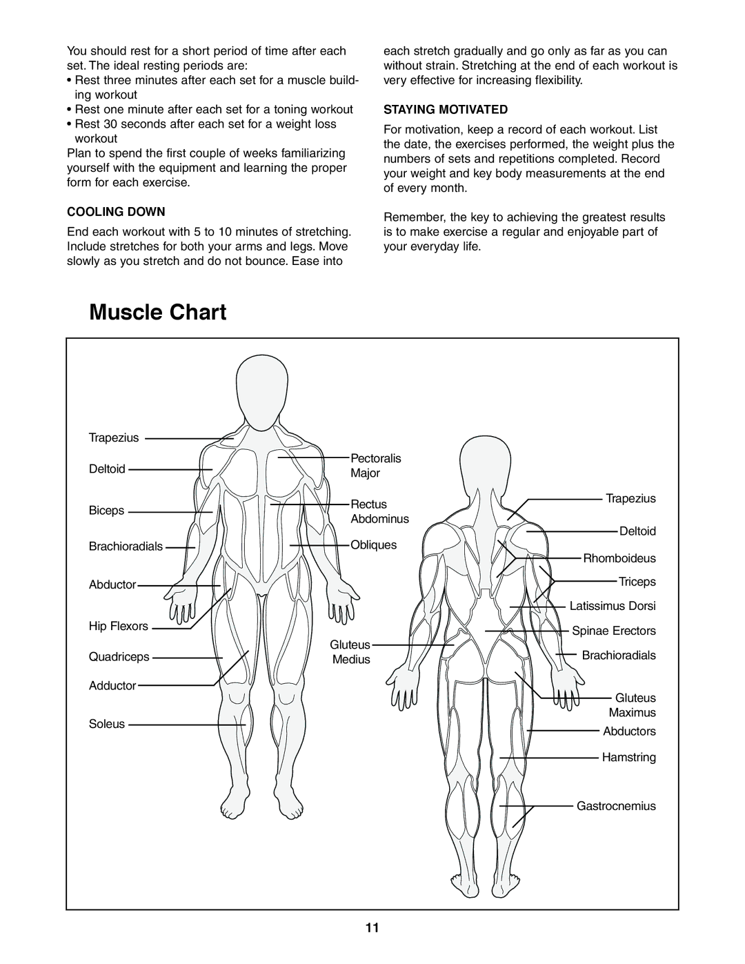 Weider PRO 125 user manual Cooling Down, Staying Motivated 