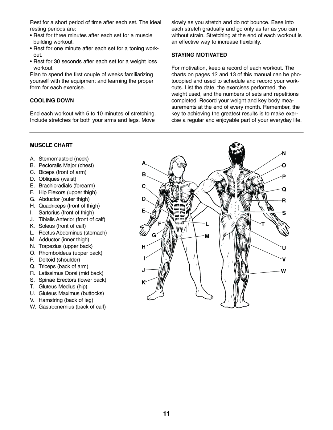 Weider Pro XT 10 user manual Cooling Down, Staying Motivated, Muscle Chart 