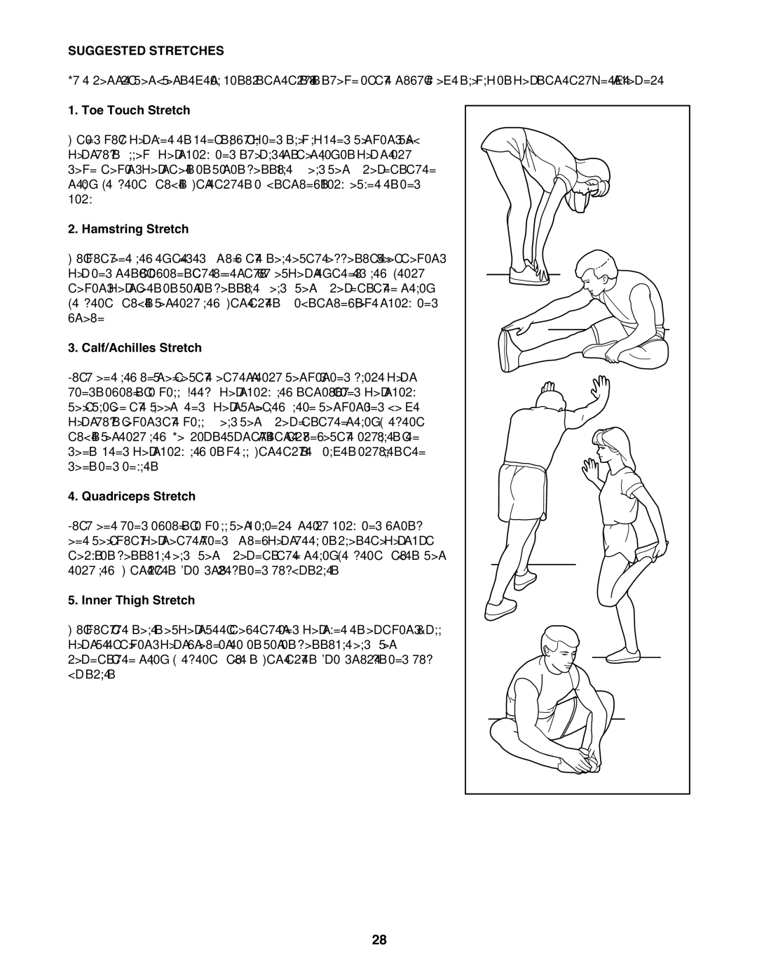 Weider WBTL13608.0 user manual Suggested Stretches 