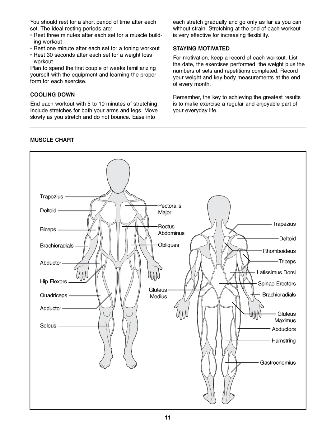 Weider WEBE03690 manual Cooling Down, Staying Motivated, Muscle Chart 