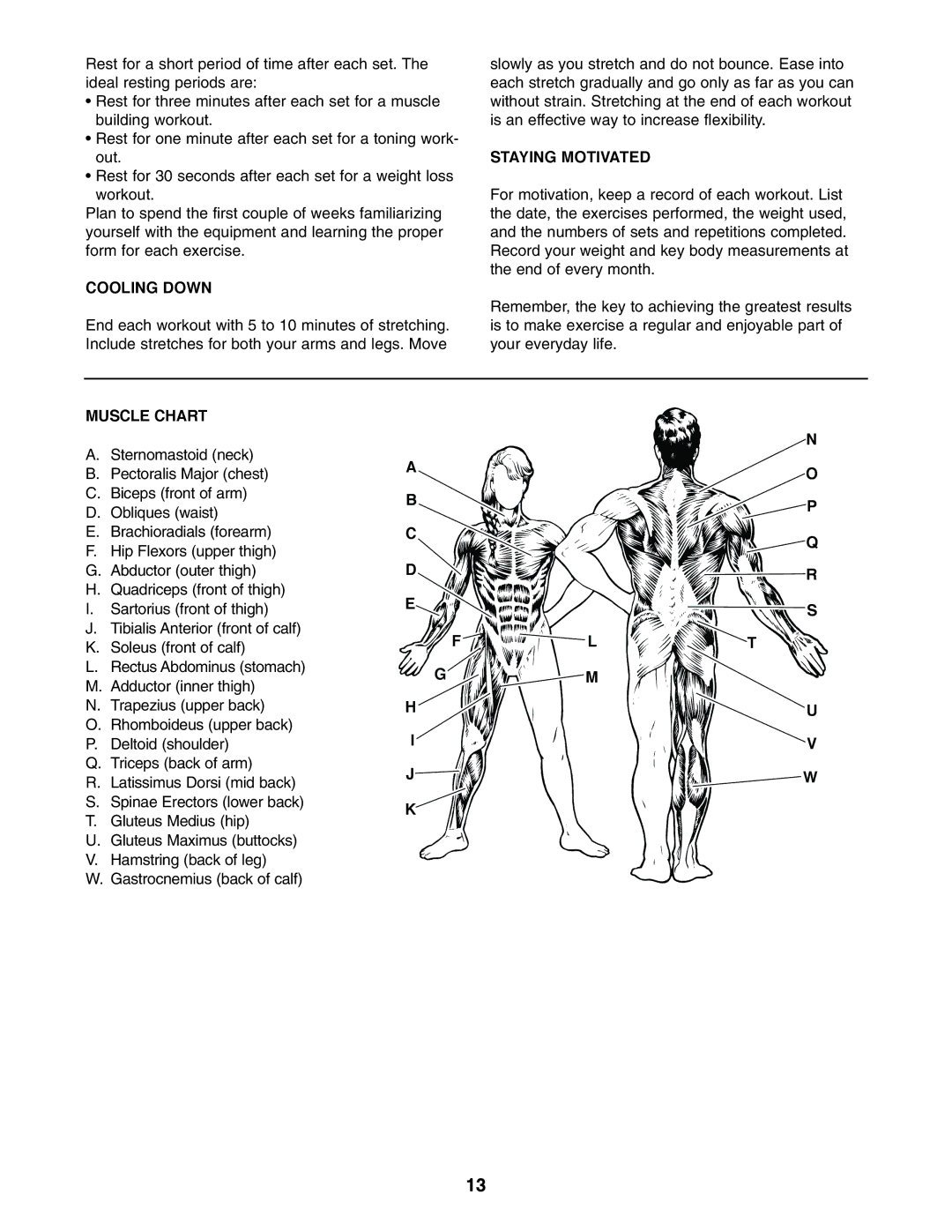 Weider WEBE06110 user manual Cooling Down, Staying Motivated, Muscle Chart 