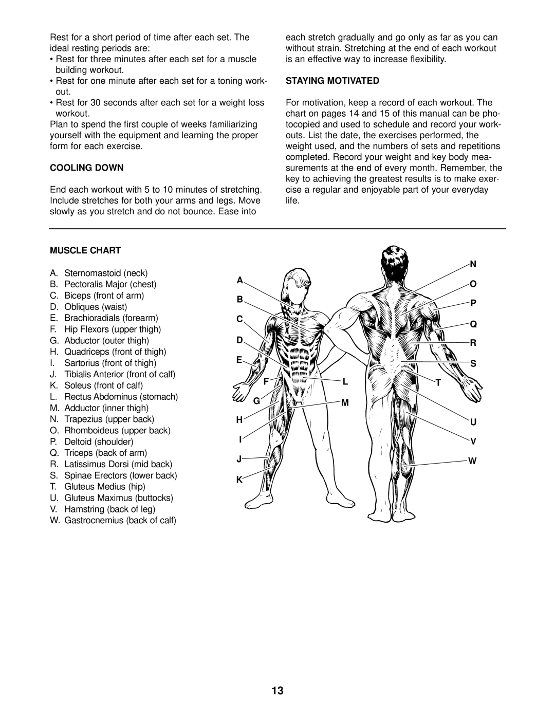 Weider WEBE08920 user manual Cooling Down, Staying Motivated, Muscle Chart 