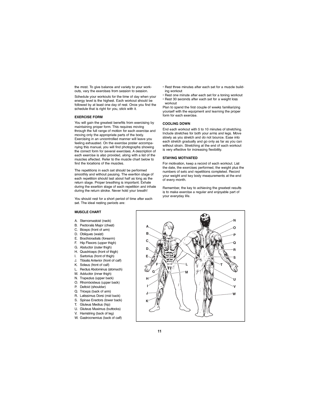 Weider WEBE11880 manual Exercise Form, Cooling Down, Staying Motivated, Muscle Chart 