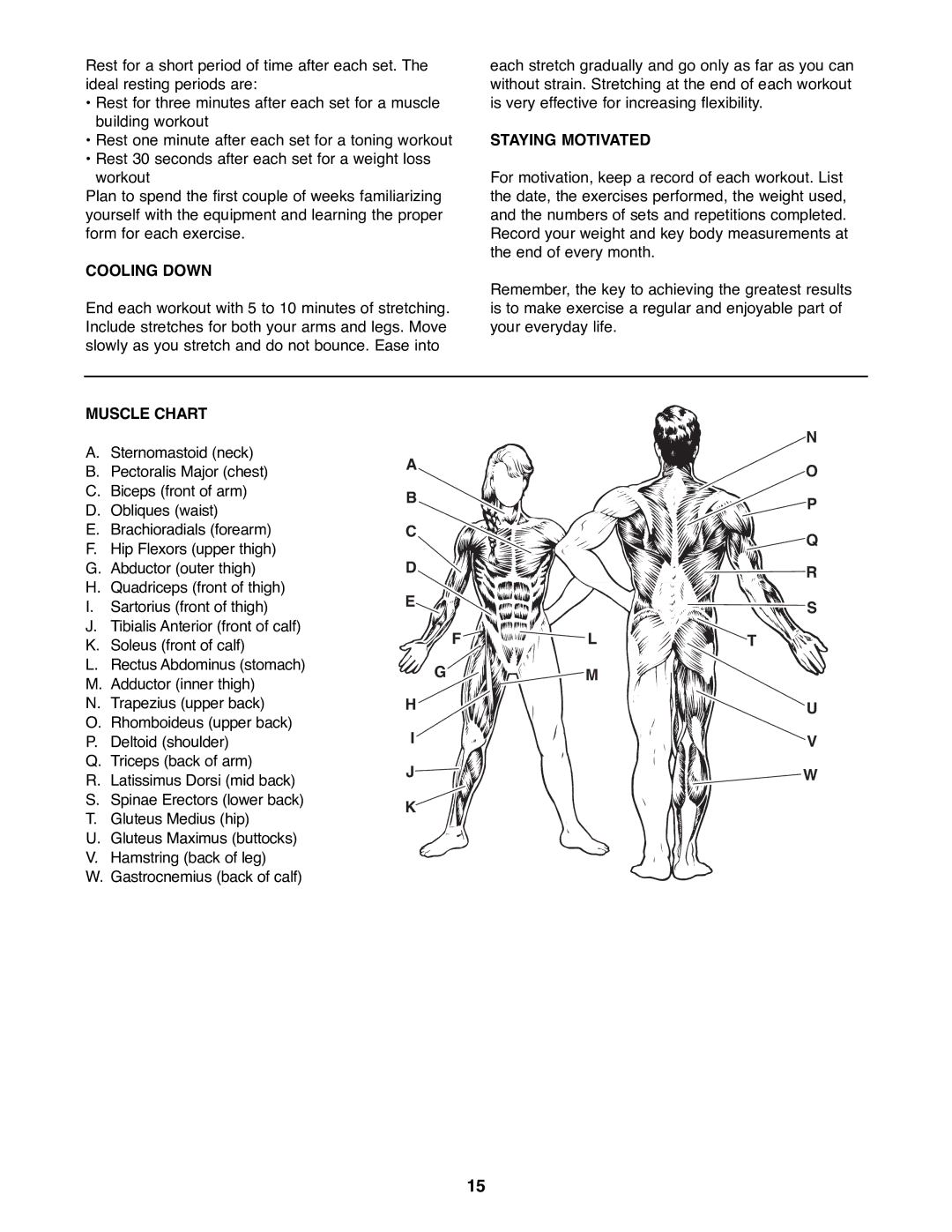 Weider WEBE19200 manual Cooling Down, Staying Motivated, Muscle Chart 